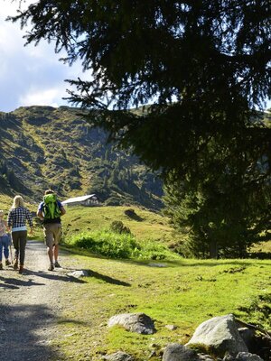 'Almenwanderung Inneralpbach | © Bernhard Berger