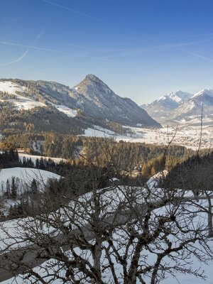 Ausblick vom Pinzgerhof im Winter