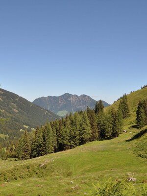 Greiter Graben Tal auswärts