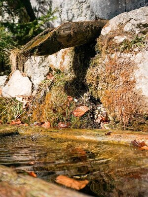 Kaltes Wasserl Kramsach Brunnen | © Sandrine Stock