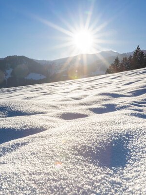 Reith Schneeglitzer | © Matthias Sedlak