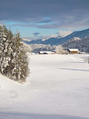 Reintalersee im Winter | © Sandrine Stock