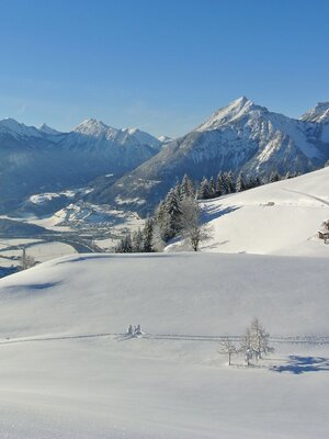 Ausblick vom Plateau des Reither Kogels im Juppi Zauberwald