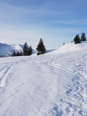 Schneeschuhwanderung Almengebiet Brandenberg | © Sabine Geir