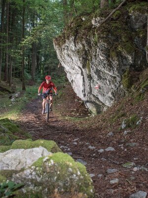 Uphilltrail 358 Holzknecht | © Gabriele Grießenböck