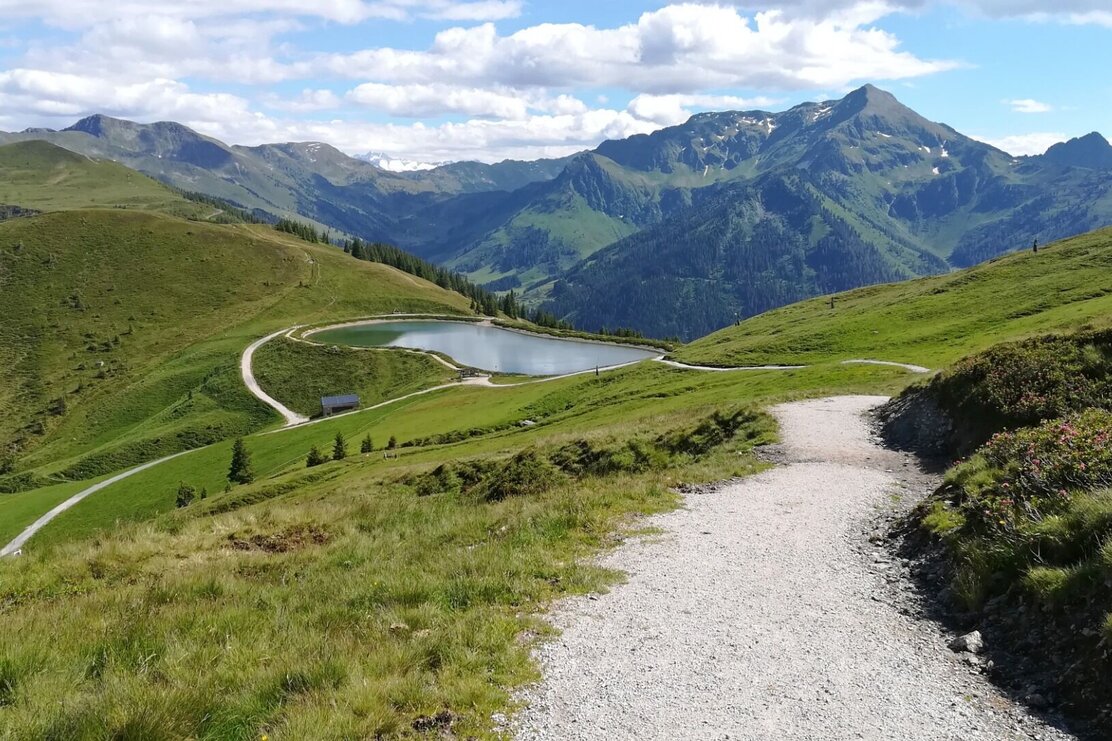 MTB 351 Schatzbergrunde | © Wildschönau Tourismus