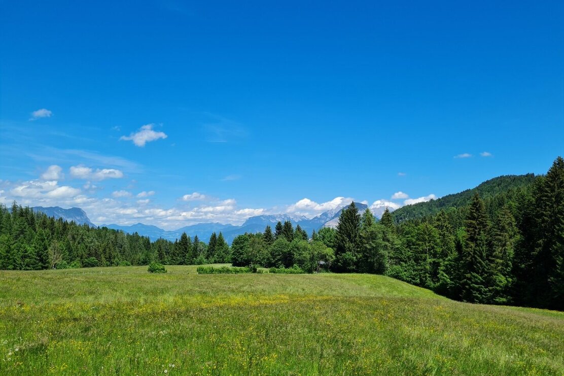 Wildschönau Tourismus Zauberwinkel Aussicht Richtung Kaiser.jpg | © Wildschönau Tourismus