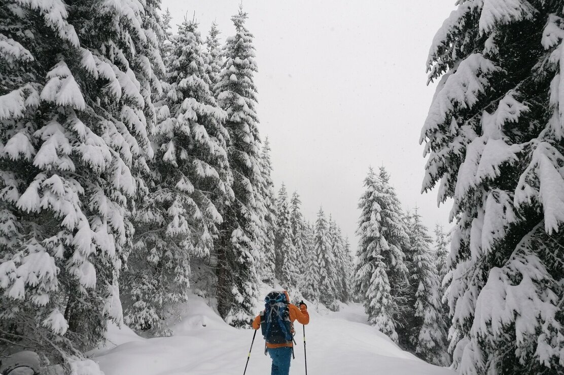 Breitegg Wald.jpg | © Wildschönau Tourismus