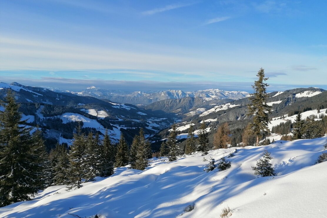 Wildschönau Breitegg Niederleger Aussicht.jpg