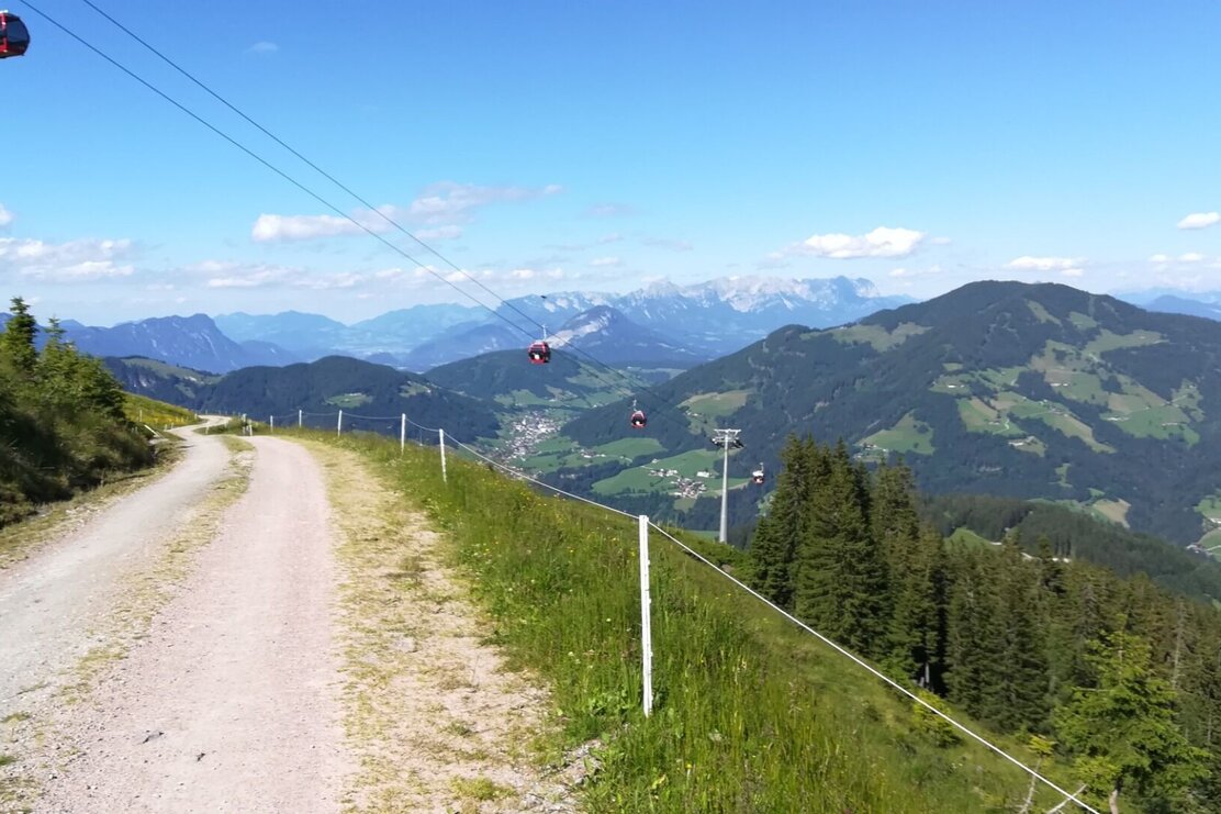 MTB 351 Schatzbergrunde | © Wildschönau Tourismus