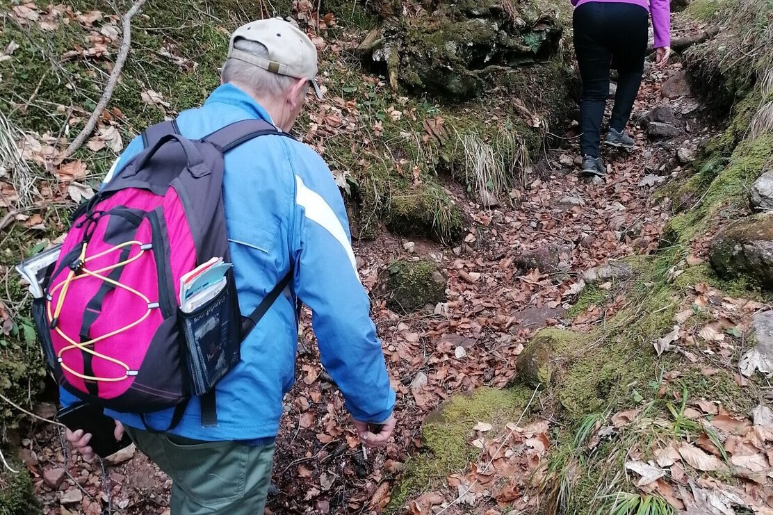 Waldweg zur Klinglerkapelle.jpg