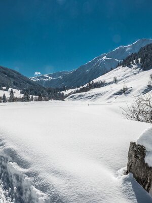 Schönanger Panorama2.jpg