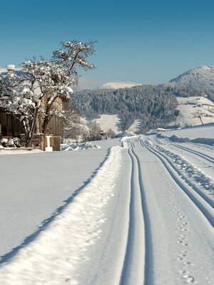 Langlauf Oberau Dorf Winter Wildschönau (2).jpg | © Wildschönau Tourismus