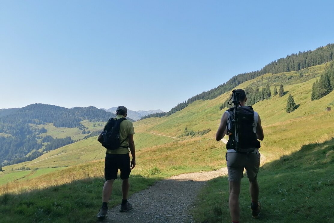 Wildschönau Tourismus Richtung Holzalm Gewi.jpg