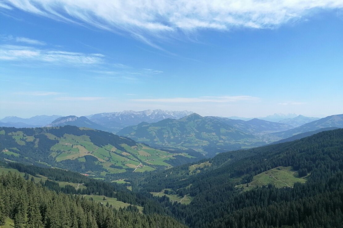 Wildschönau Tourismus Feldalphorn Aussicht im Aufstieg Gewi.jpg