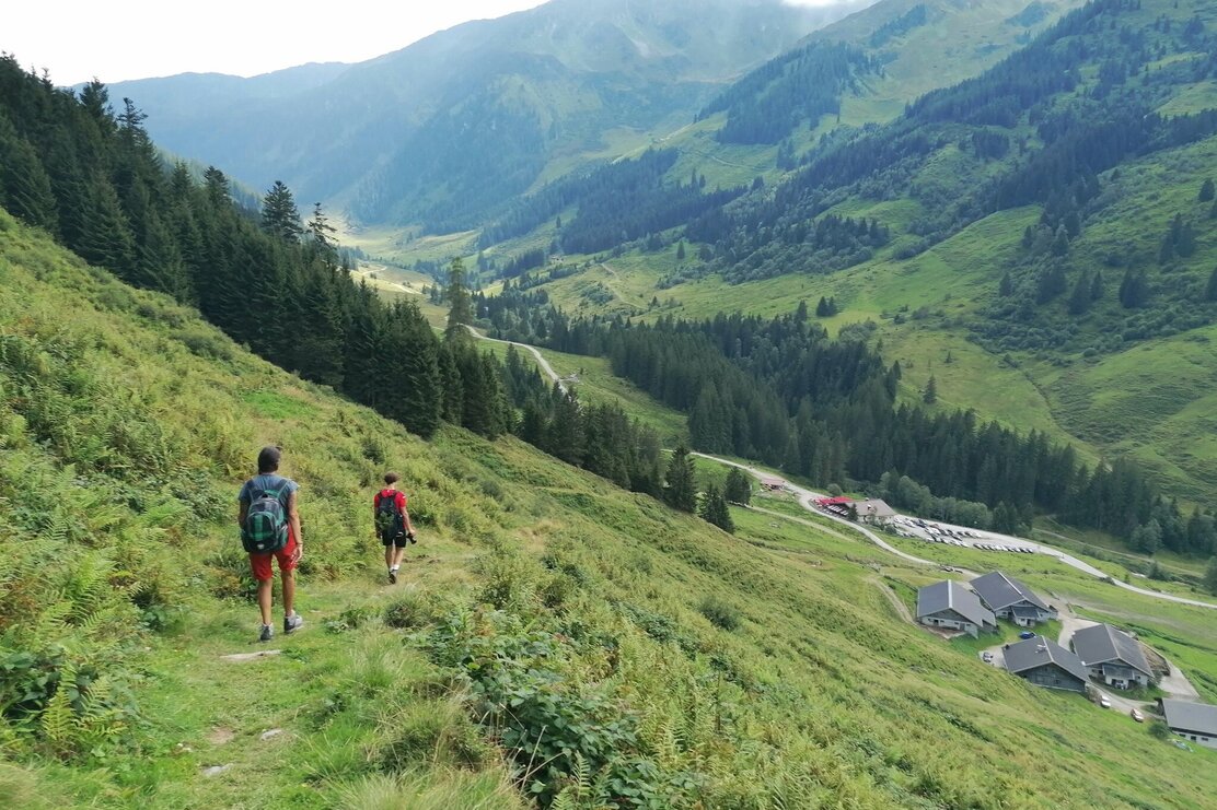 Wildschönau Tourismus Schönanger Gewi.jpg