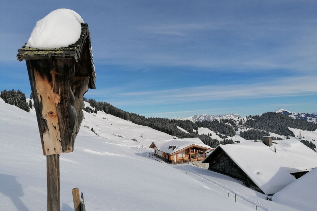 über der Holzalm.jpg | © Wildschönau Tourismus