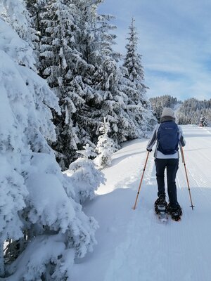 Wanderung Start.jpg | © Wildschönau Tourismus