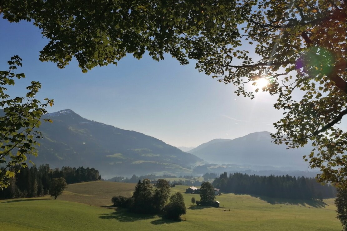 Wildschönau Tourismus Penning Aussicht Gewi.jpg