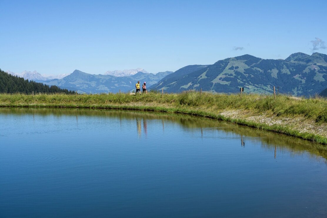 Wandern_Sommer_TVB_Wildschoenau_Dabernig_69.jpg | © Wildschönau Tourismus FG Hannes Dabernig