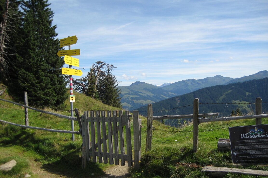 Halsgatterl | © Wildschönau Tourismus