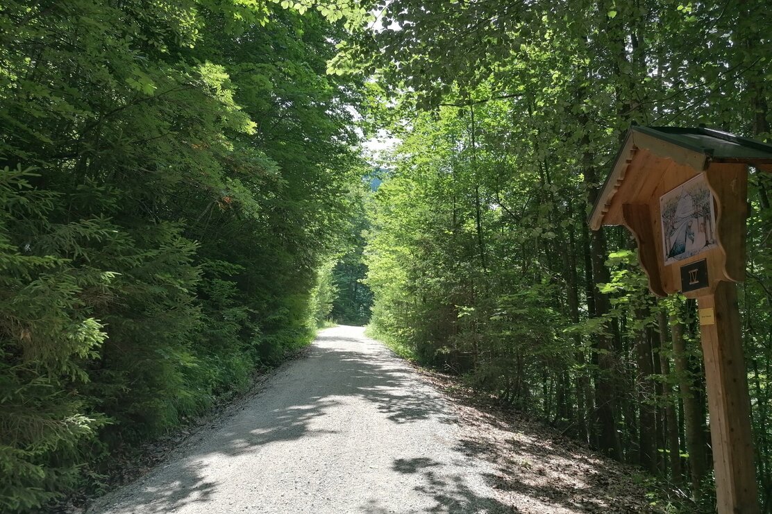 Niederau Möslalm Forststraße Wörgl Wildschönau Tourismus GeWi.jpg