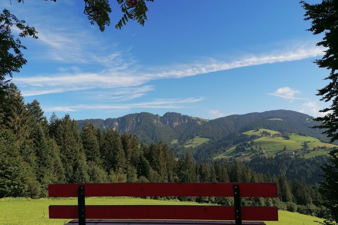 Wildschönau Tourismus MTB Saulueg Kragen Bankerl Thierbach Gewi.jpg