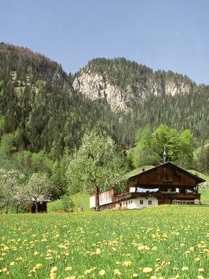 Frühling Bauernhof Ebersau ©TVB Wildschönau.jpg | © Ebersau