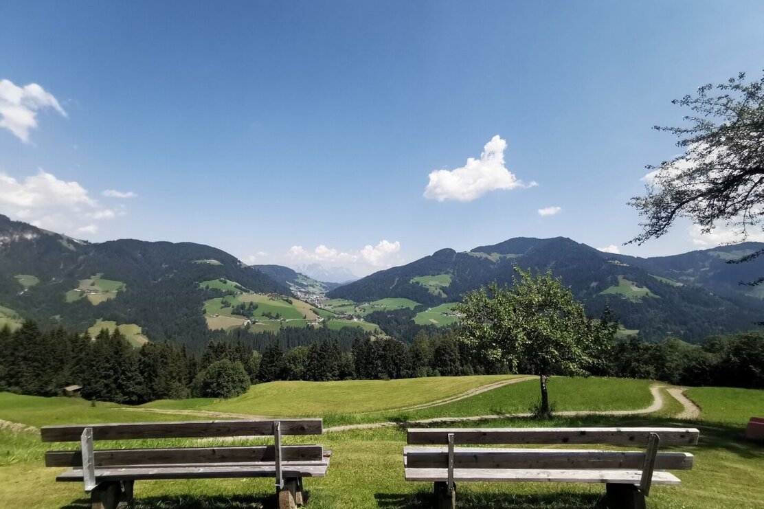 Blick vom Hörbighof Thierbach nach Oberau Sommer FG T.L Rechte Wildschönau Tourismus.jpg | © Wildschönau Tourismus