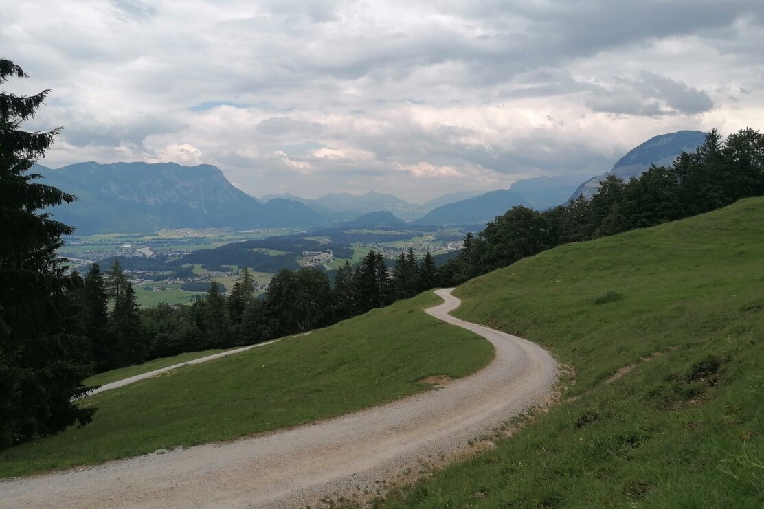 Niederau Möslalm Forststraße Wildschönau Tourismus GeWi.jpg