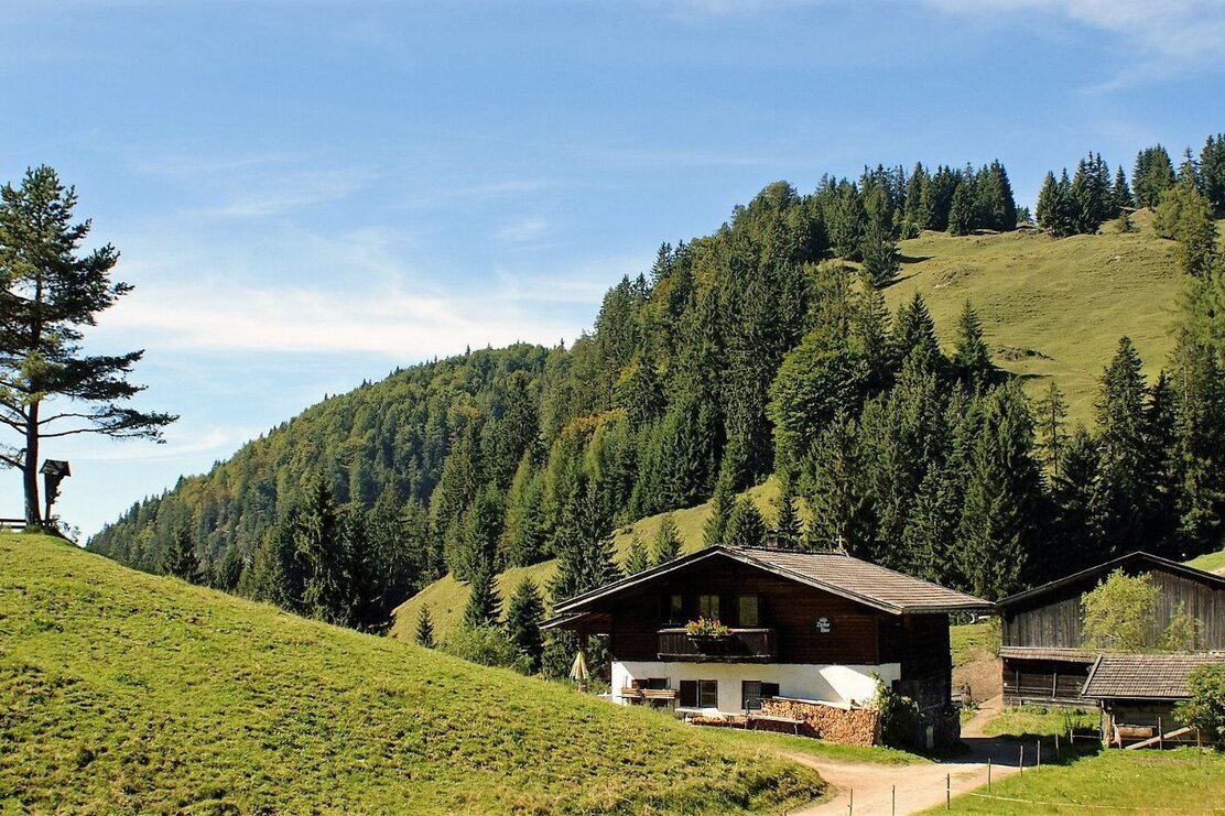 Achentalalm Kragenjoch Wildschönau FG O. Weissbacher R. Wildschönau Tourismus.jpg