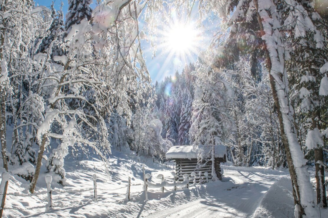 winterwandern schönanger wildschönau 1600.jpg | © Wildschönau Tourismus