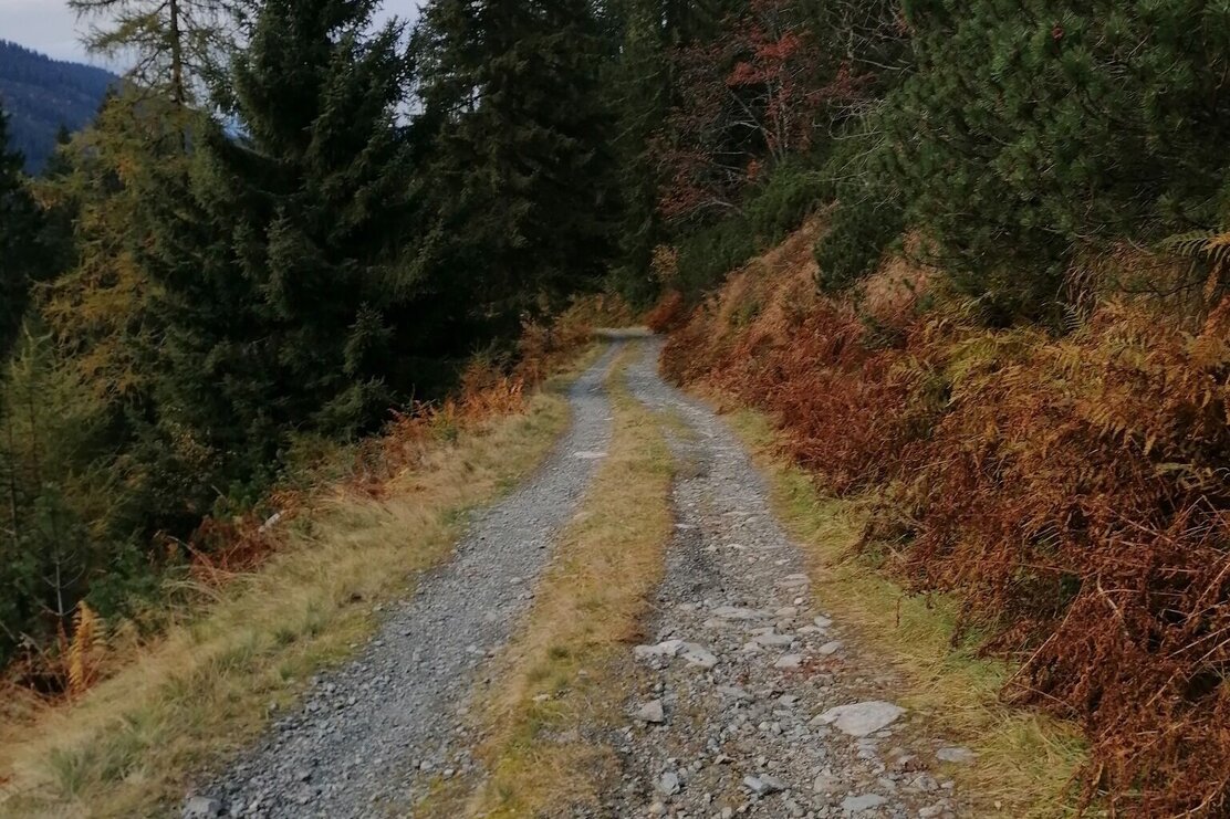 vom Siedeljoch nach unten.jpg