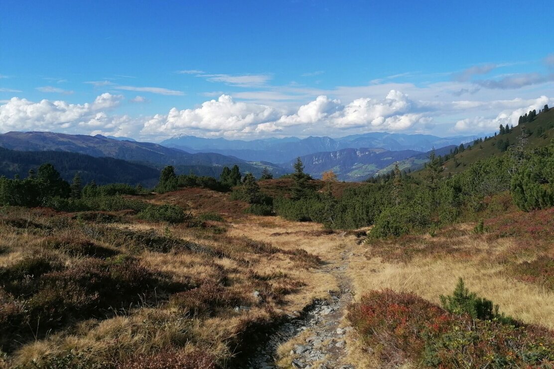 Blick in die Wilschönau Rg Breiteggspitze GW.jpg