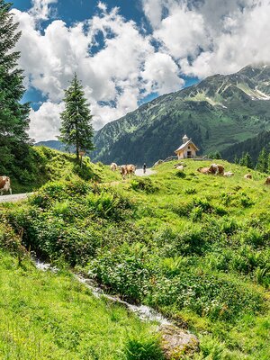 Sommer Schönanger 5.jpg | © Wildschönau Tourismus