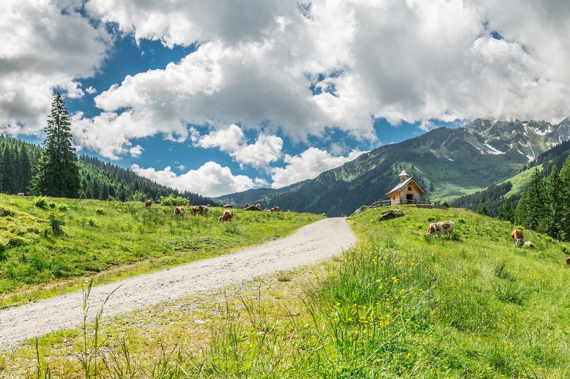 Schönangeralm Sommer FG Timeshot Rechte Wildschönau Tourismus (26).jpg | © Tijmen Schuil