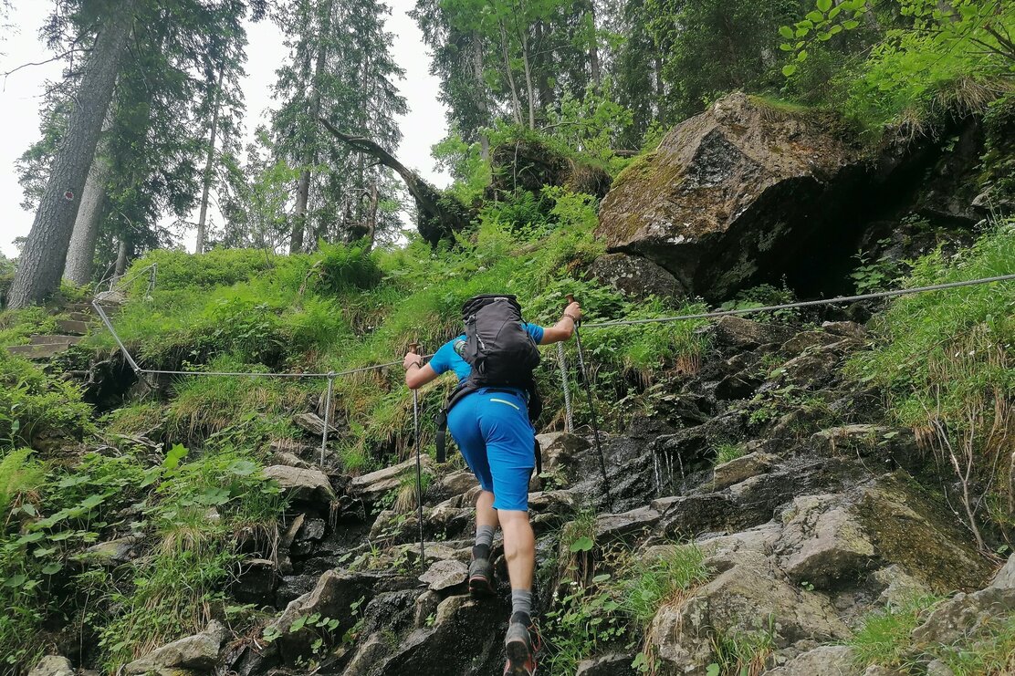 Wildschönau Tourismus Gressenstein Kastensteig GeWi.jpg