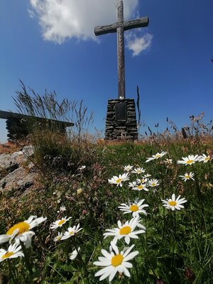 Wildschönau Tourismus Sonnjoch Gipfelkreuz Margeriten Gewi.jpg | © Wildschönau Tourismus