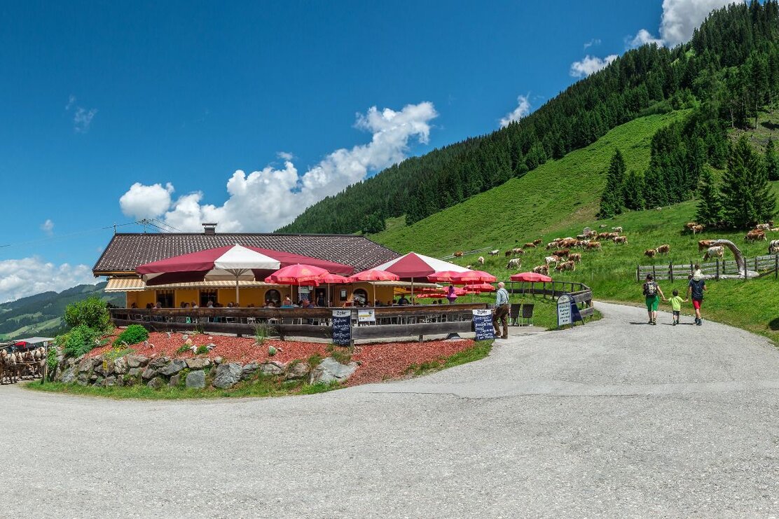 Schönangeralm Sommer FG Timeshot Rechte Wildschönau Tourismus (8).jpg | © Wildschönau Tourismus