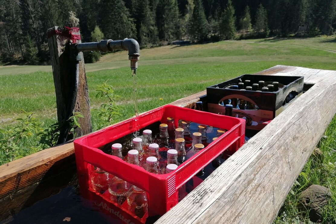 Wildschönau Tourismus Füllnwies Brunnen Gewi..jpg | © GW