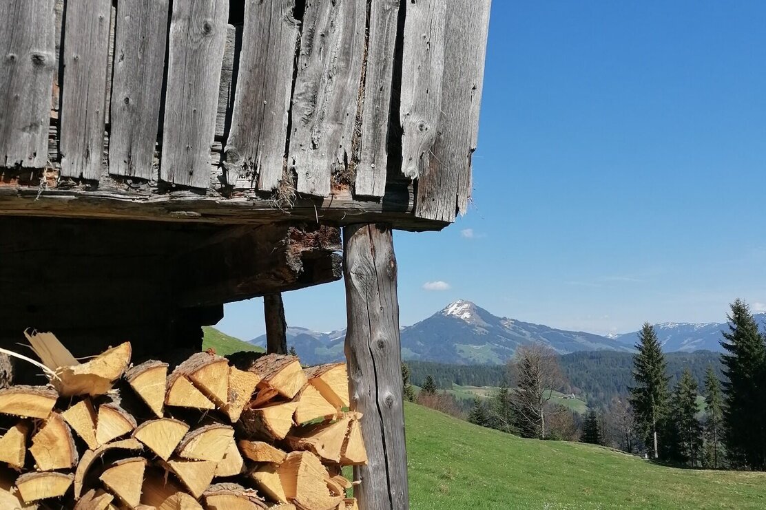 Wildschönau Tourismus Füllnwies Stadl Gewi.jpg | © GW