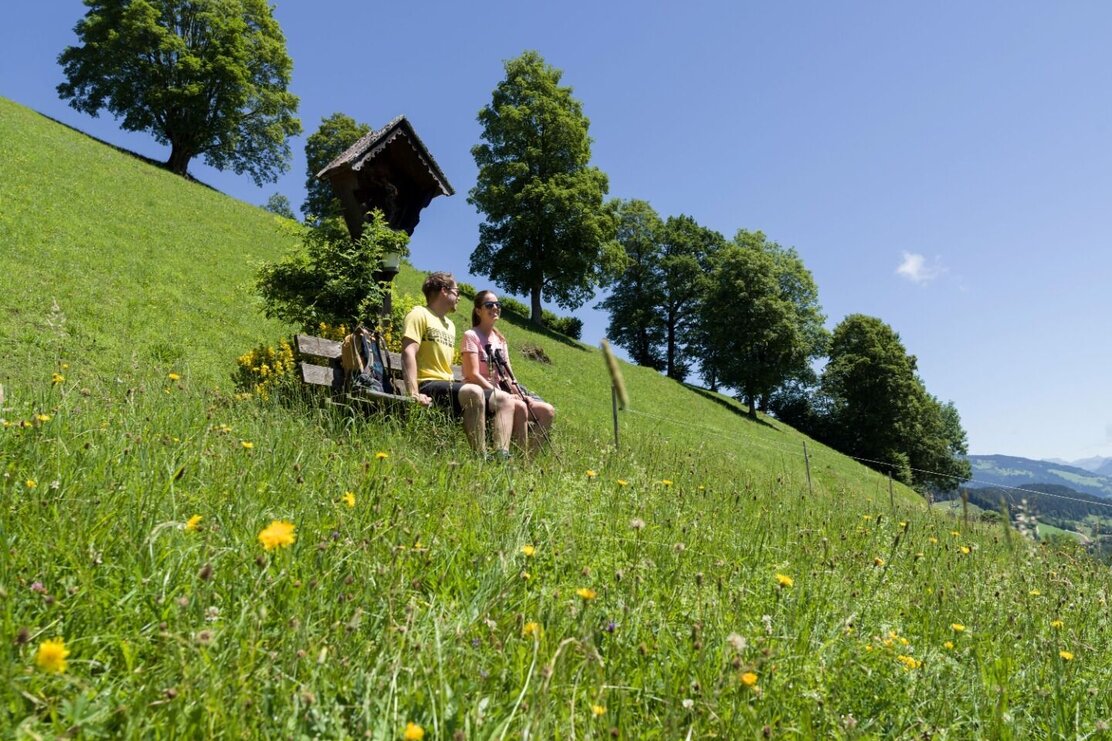 Wandern_Sommer_TVB_Wildschoenau_Dabernig_44.jpg | © Wildschönau Tourismus FG Hannes Dabernig