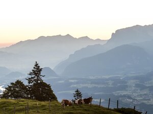 Möslalm Ausblick | © Wildschönau Tourismus