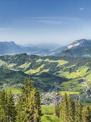 Niederau  - Sommer  Panorama